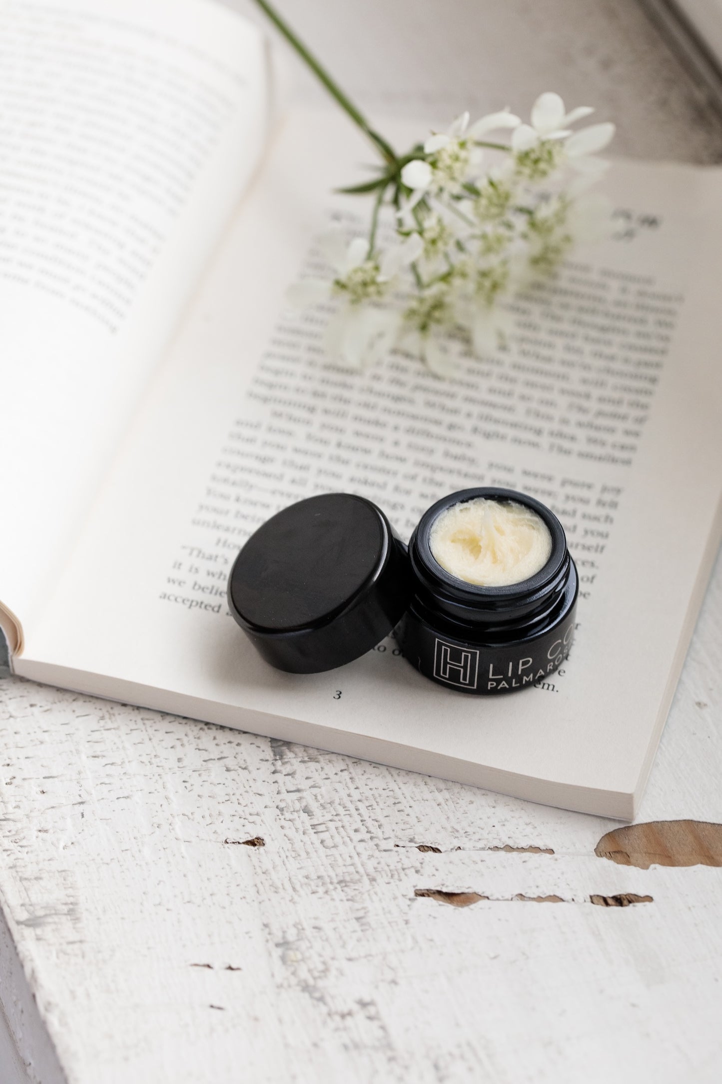 Lip Conditioner